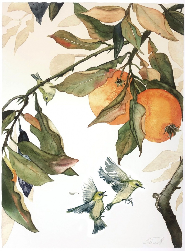Citrusfåglar i gruppen Kunstgalleri / Original hos NOA Gallery (100012_1898)