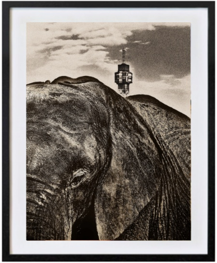 Elephant Tower i gruppen Kunstgalleri / Foto / Fotokunst hos NOA Gallery (100021_3755)