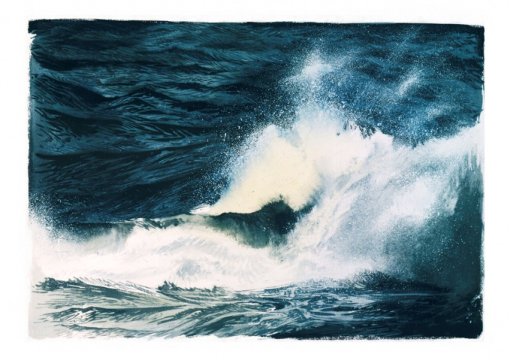 Brakewave i gruppen Kunstgalleri / Dyr og natur / Vakre hav hos NOA Gallery (100120_1842)