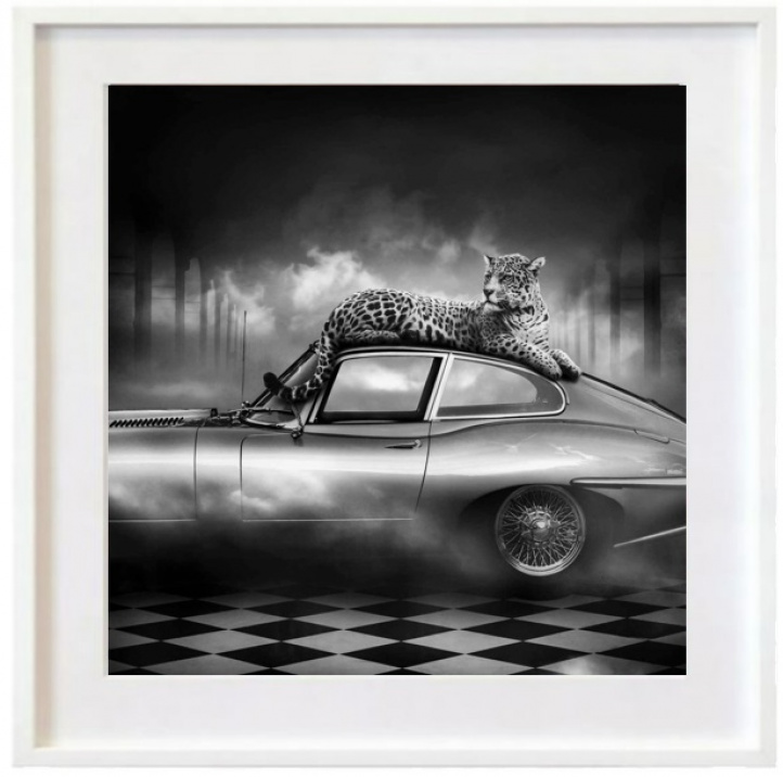 The Jaguar Elegance i gruppen Kunstgalleri / Foto / Legendariske bilder hos NOA Gallery (200239_3980)