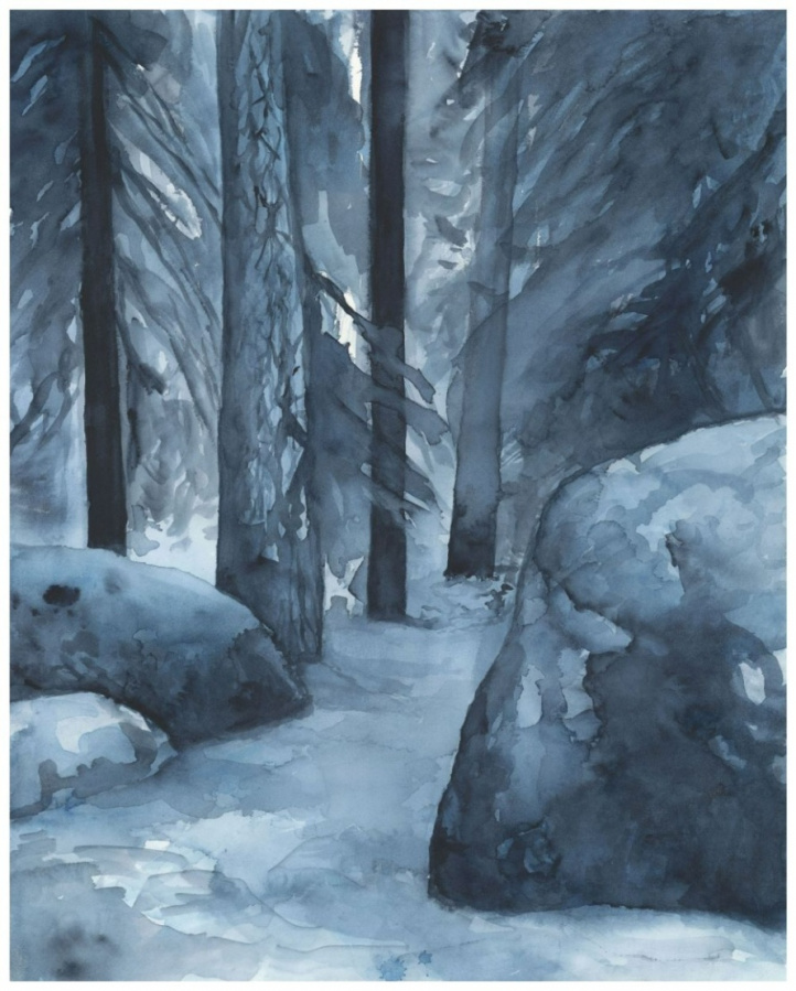 Blå skog i gruppen Kunstgalleri / Tekniker / Akvarell hos NOA Gallery (200247_7790)